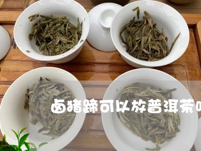 卤猪蹄可以放普洱茶吗/2023092982694