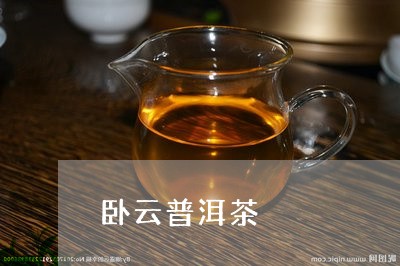 卧云普洱茶/2023082982816