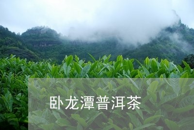 卧龙潭普洱茶/2023042946710