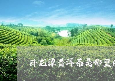 卧龙潭普洱茶是哪里的产地/2023082972503