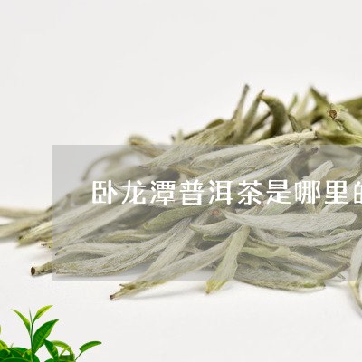 卧龙潭普洱茶是哪里的茶/2023082977361