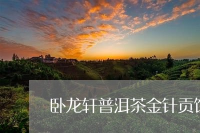 卧龙轩普洱茶金针贡饼/2023092917159