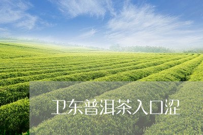 卫东普洱茶入口涩/2023120477482