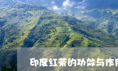 印度红茶的功效与作用/2023071544704