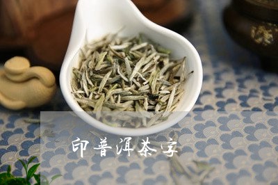 印普洱茶字/2023090605049