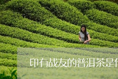 印有战友的普洱茶是什么茶/2023112523926