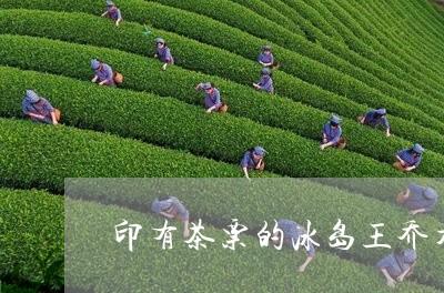 印有茶票的冰岛王乔木/2023092359481