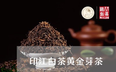 印江白茶黄金芽茶/2023061306161