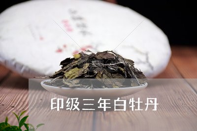 印级三年白牡丹/2023112344848