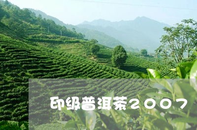 印级普洱茶2007/2023091498282