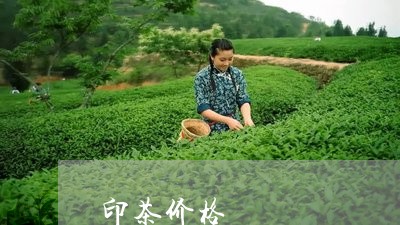 印茶价格/2023090172604