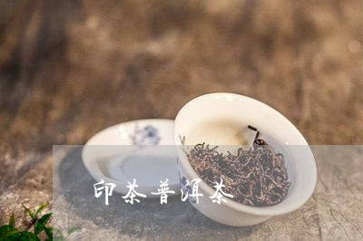 印茶普洱茶/2023102533027