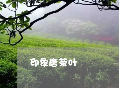 印象唐茶叶/2023041761080