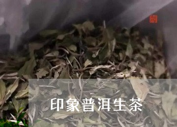 印象普洱生茶/2023090716379