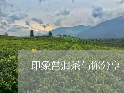 印象普洱茶与你分享/2023101677159