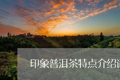 印象普洱茶特点介绍词/2023121590747