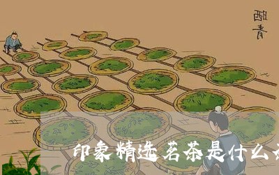 印象精选茗茶是什么茶/2023071453903