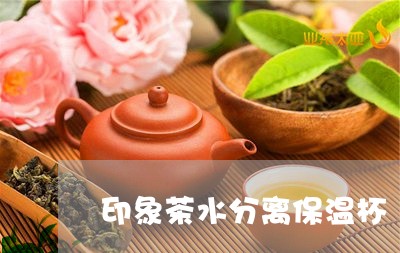 印象茶水分离保温杯/2023042074805