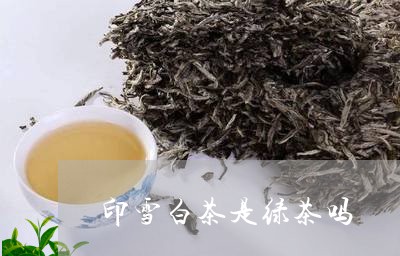 印雪白茶是绿茶吗/2023061457472