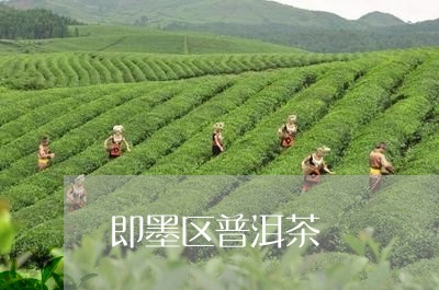 即墨区普洱茶/2023102536280