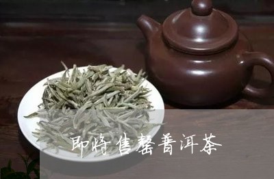 即将售罄普洱茶/2023082960604