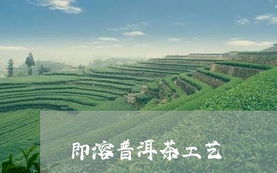 即溶普洱茶工艺/2023120356372