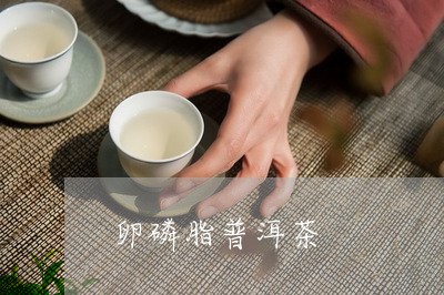 卵磷脂普洱茶/2023042784974