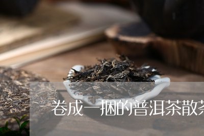 卷成一捆的普洱茶散茶/2023062215950