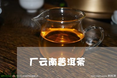 厂云南普洱茶/2023042718419