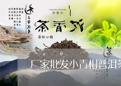 厂家批发小青柑普洱茶/2023072416270