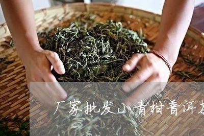 厂家批发小青柑普洱茶/2023092853825