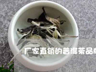 厂家直销的普洱茶品牌/2023092922936