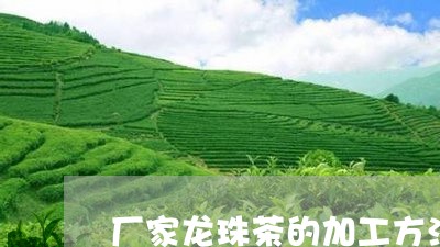 厂家龙珠茶的加工方法/2023061104059