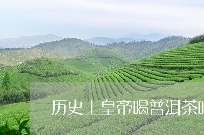 历史上皇帝喝普洱茶吗/2023092731806