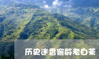 历史迷香窖龄老白茶/2023071574915