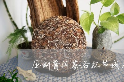 压制普洱茶各环节成本/2023100663835