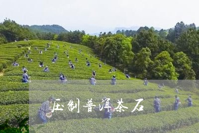 压制普洱茶石/2023042712906