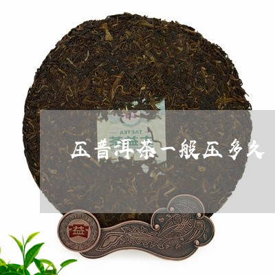 压普洱茶一般压多久/2023091558404