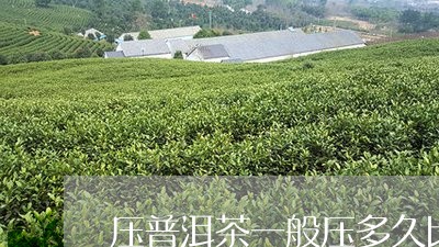 压普洱茶一般压多久比较好/2023082917371