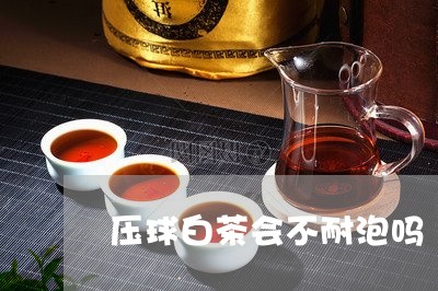 压球白茶会不耐泡吗/2023081395037