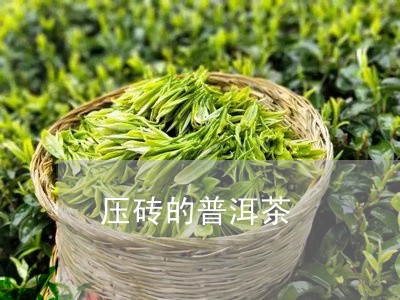 压砖的普洱茶/2023042845076