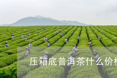 压箱底普洱茶什么价格/2023062993058