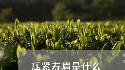 压紧寿眉是什么/2023112416158