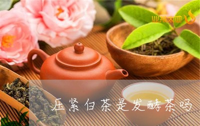 压紧白茶是发酵茶吗/2023121730517