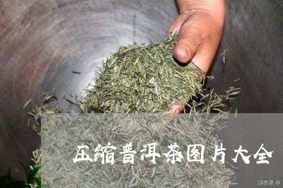 压缩普洱茶图片大全/2023070854068