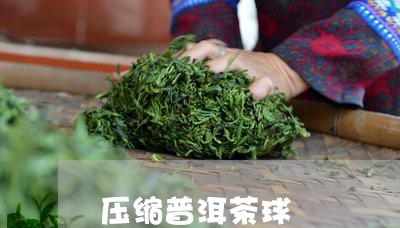 压缩普洱茶球/2023042841380