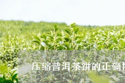 压缩普洱茶饼的正确打开方式/2023082699483