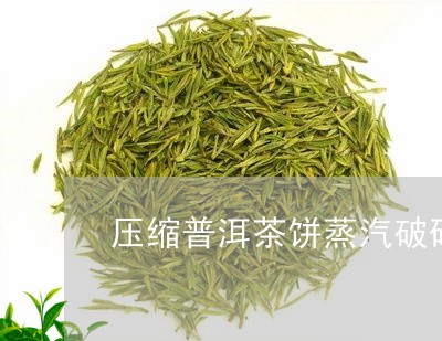 压缩普洱茶饼蒸汽破碎/2023100893969