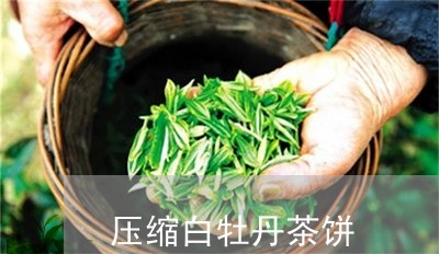 压缩白牡丹茶饼/2023112346169