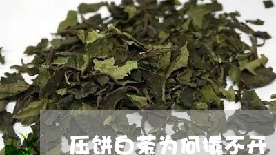 压饼白茶为何撬不开/2023071658584